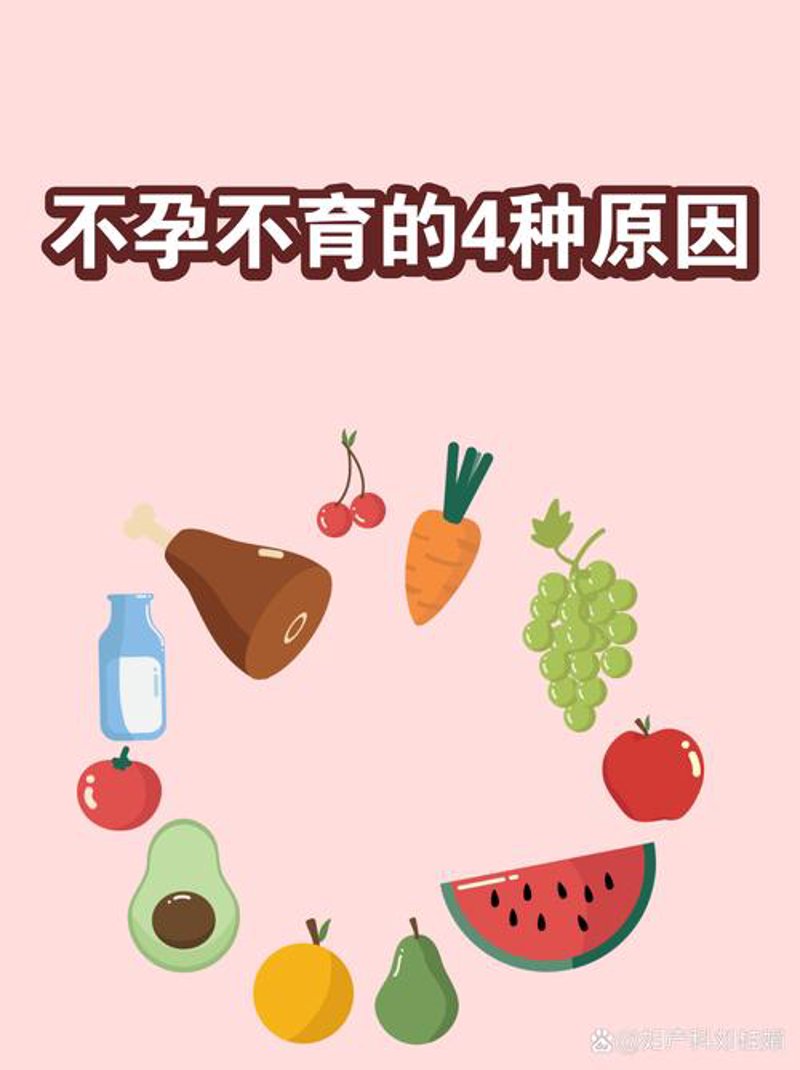 试管婴儿费用：解读当前市场动态